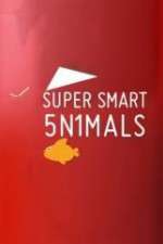 Watch Super Smart Animals Putlocker