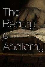 Watch The Beauty of Anatomy Putlocker
