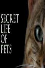 Watch The Secret Life of Pets Putlocker