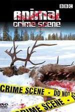 Watch Animal Crime Scene Putlocker