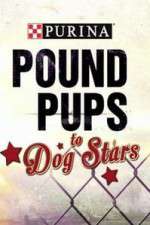 Watch Purina Pound Pups To Dog Stars Putlocker