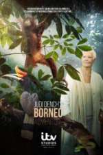 Watch Judi Dench\'s Wild Borneo Adventure Putlocker