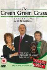 the green green grass tv poster