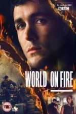 world on fire tv poster