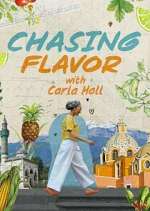 chasing flavor tv poster