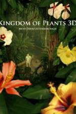 Watch Kingdom of Plants 3D Putlocker