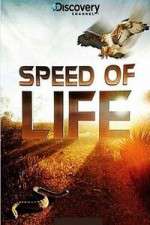 Watch Discovery Channel Speed Of Life Putlocker