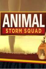 Watch Animal Storm Squad Putlocker