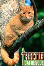 Watch Putlocker Treetop Cat Rescue Online