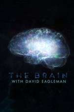 Watch The Brain with Dr David Eagleman Putlocker