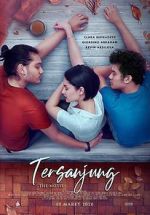 Watch Tersanjung: The Movie Putlocker