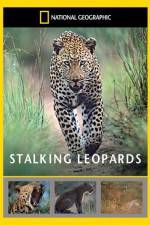 Watch National Geographic: Stalking Leopards Putlocker