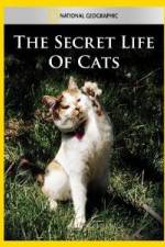 Watch National Geographic The Secret Life of Cats Putlocker