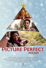 Watch A Picture Perfect Holiday Putlocker