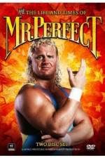 Watch The Life and Times of Mr Perfect Putlocker