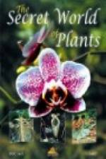 Watch The Secret World of Plants Putlocker