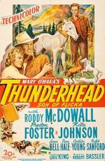 Watch Thunderhead: Son of Flicka Putlocker