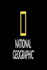 Watch National Geographic Wild Animal Attacks On Vacation Putlocker
