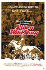 Watch Ride a Wild Pony Putlocker