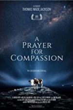 Watch A Prayer for Compassion Putlocker