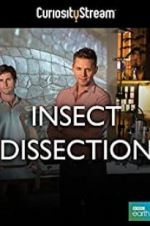 Watch Insect Dissection: How Insects Work Putlocker