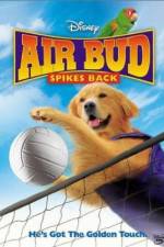 Watch Air Bud Spikes Back Putlocker