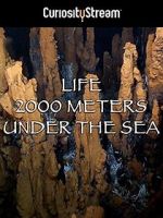 Watch Life 2,000 Meters Under the Sea Putlocker