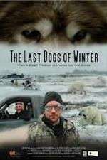 Watch The Last Dogs of Winter Putlocker