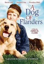 Watch A Dog of Flanders Putlocker