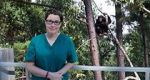 Watch Sue Perkins and the Chimp Sanctuary Putlocker