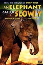 Watch An Elephant Called Slowly Putlocker