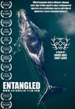 Watch Entangled: The Race to Save Right Whales from Extinction Putlocker