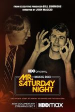 Watch Mr. Saturday Night Putlocker