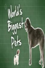 Watch World's Biggest Pets Putlocker