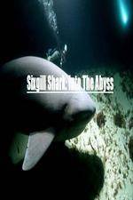 Watch National Geographic Wild Sixgill Shark Into The Abyss Putlocker