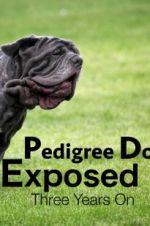 Watch Pedigree Dogs Exposed, Three Years On Putlocker