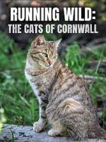 Watch Running Wild: The Cats of Cornwall (TV Special 2020) Putlocker