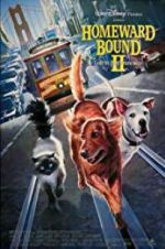 Watch Homeward Bound II: Lost in San Francisco Putlocker