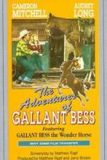 Watch Adventures of Gallant Bess Putlocker