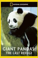 Watch National Geographic Giant Pandas The Last Refuge Putlocker