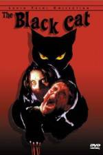 Watch Black Cat Putlocker