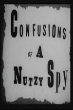 Watch Confusions of a Nutzy Spy Putlocker