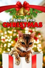 Watch A Bengal for Christmas Putlocker