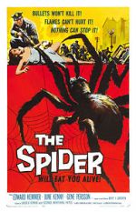 Watch The Spider Putlocker