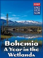 Watch Bohemia: A Year in the Wetlands Putlocker