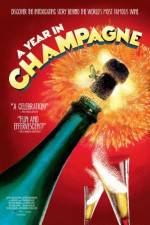 Watch A Year in Champagne Putlocker