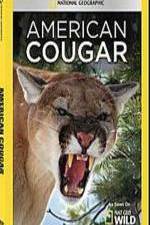 Watch National Geographic - American Cougar Putlocker