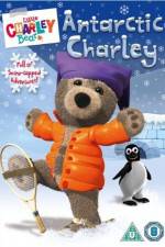 Watch Little Charley Bear - Antarctic Charley Putlocker