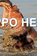 Watch Hippo Hell Putlocker