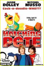 Watch Hatching Pete Putlocker
